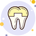 Crown & Bridge (Zirconia Crowns & PFM Crowns)